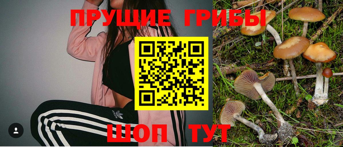 Псилоцибиновые грибы прущие грибы Ахтубинск