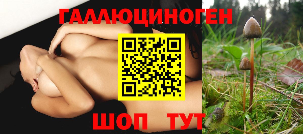 Ахтубинск  Псилоцибиновые грибы Psilocybine cubensis  что такое   Галлюциногенные грибы Cubensis  Вход с VPN 